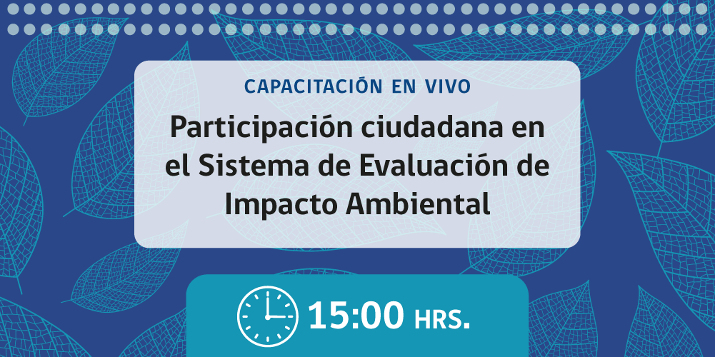 Descripción de la imagen