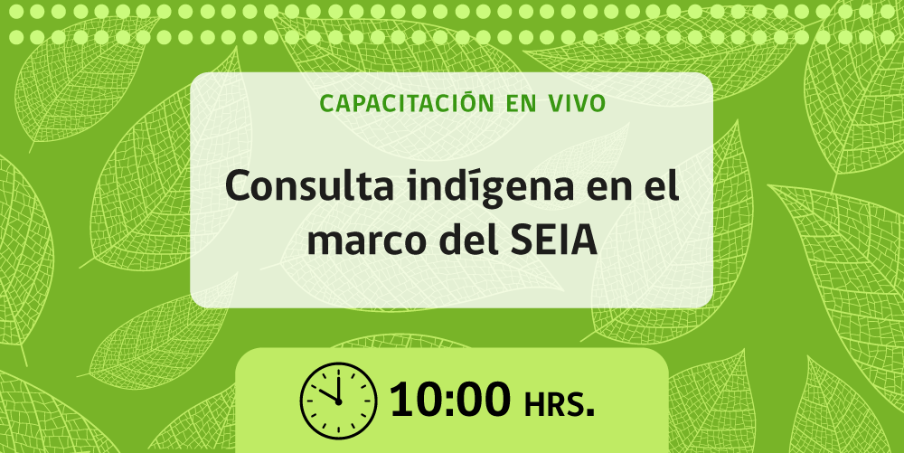 Martes 4 de agosto - 10:00.