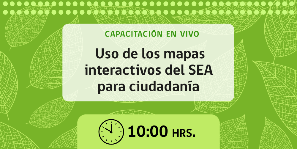 Descripción de la imagen