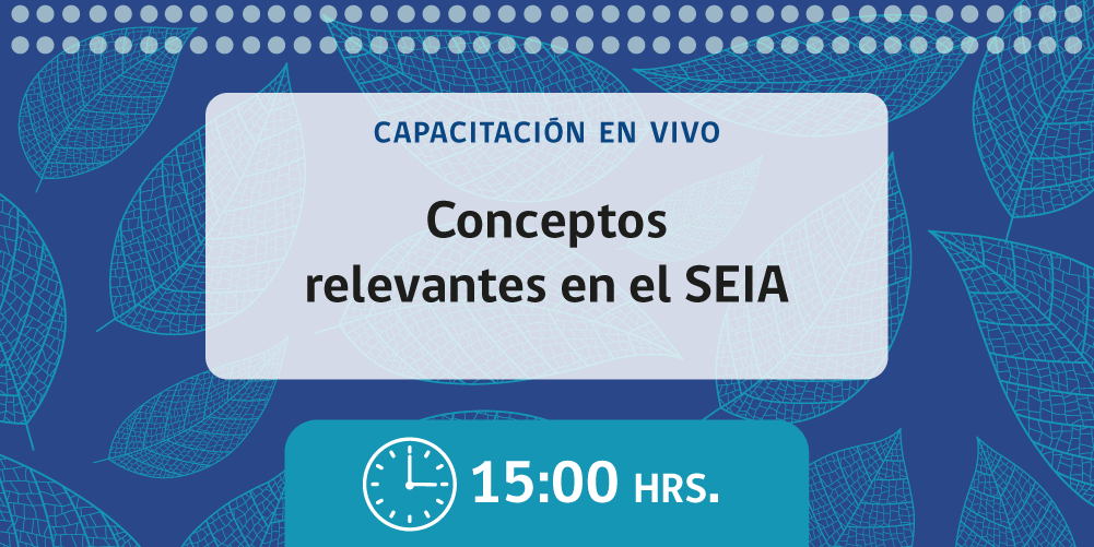Martes 4 de agosto - 15:00.