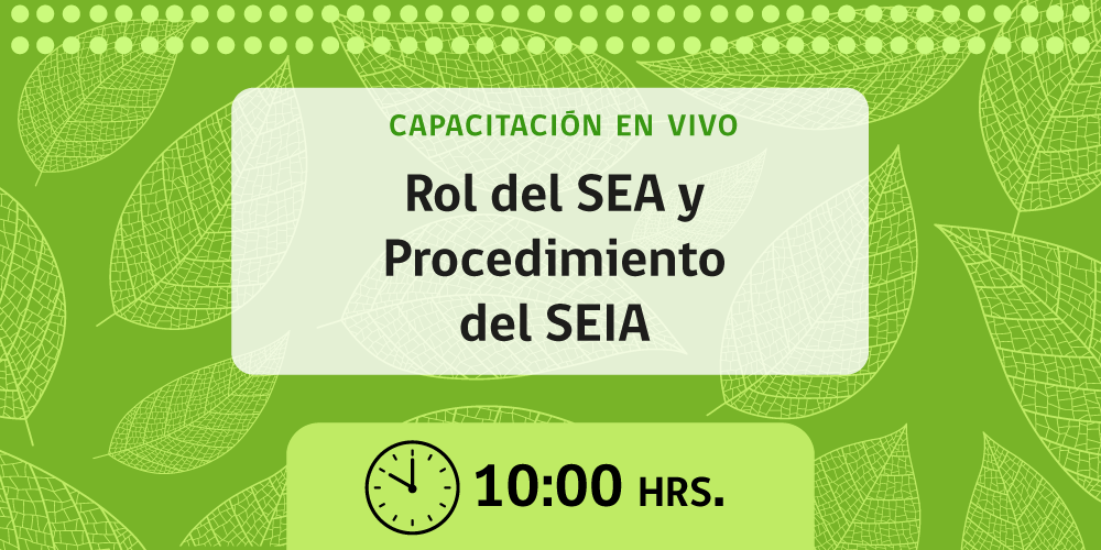 Página Principal | SEA