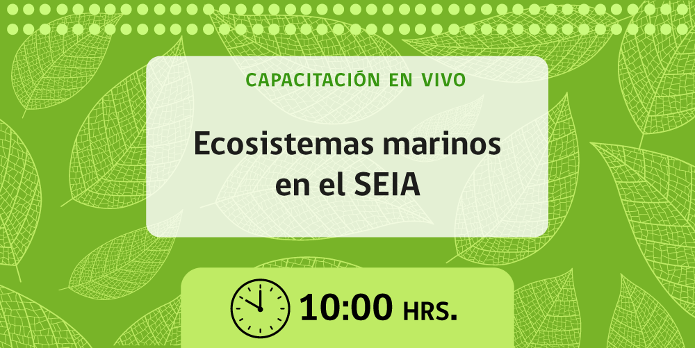 Martes 1 de septiembre - 10:00.