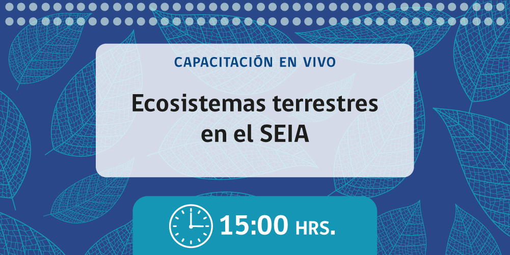 Martes 1 de septiembre - 15:00.
