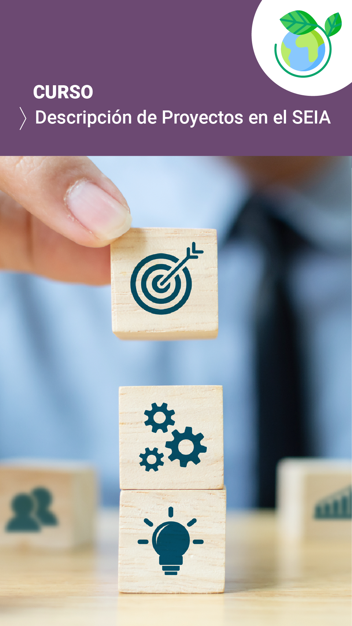 Descripción de Proyectos en el SEIA_2024-SEA