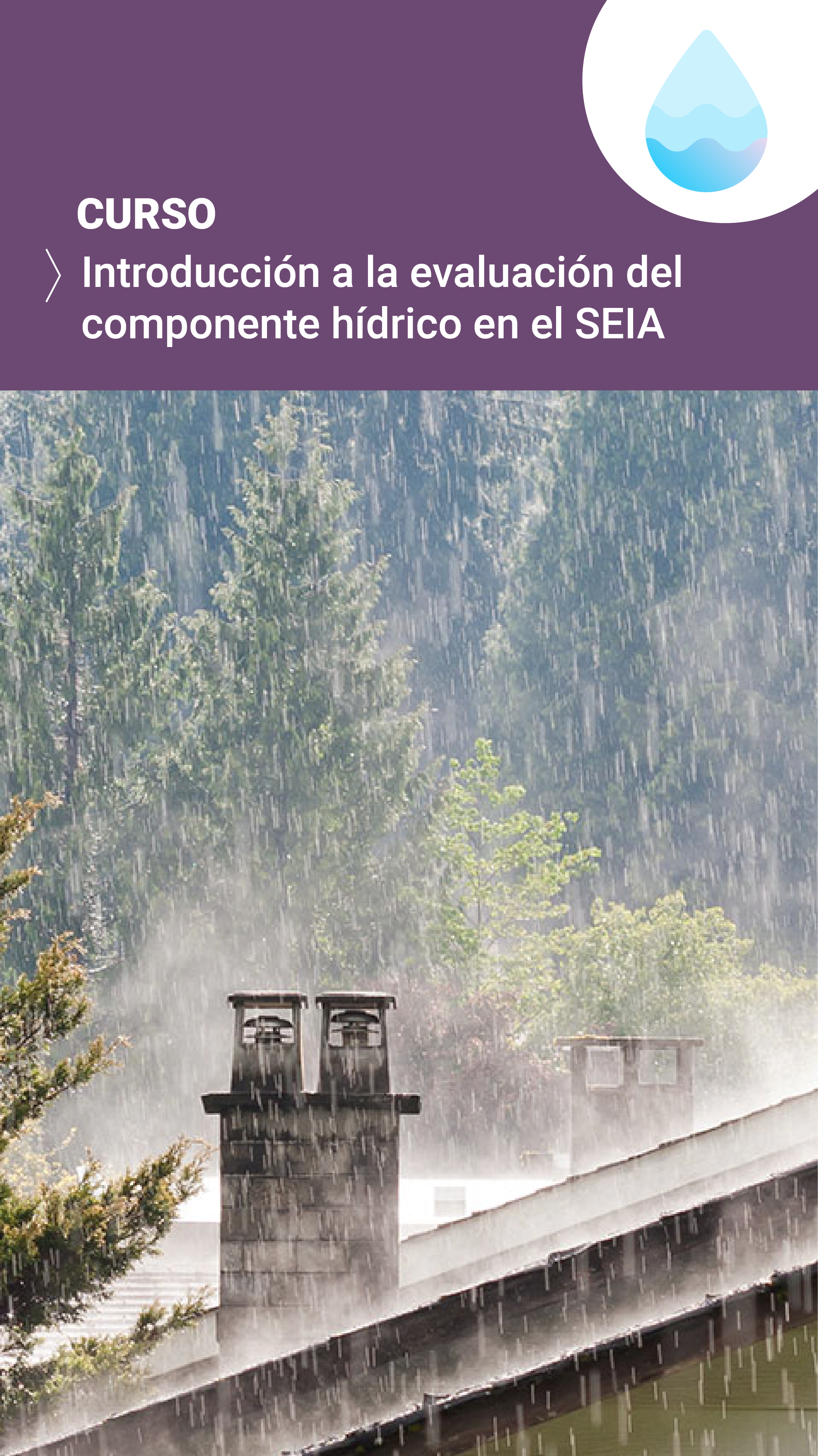 Introducción a la Evaluación del Componente Hídrico en el SEIA_2024-SEA
