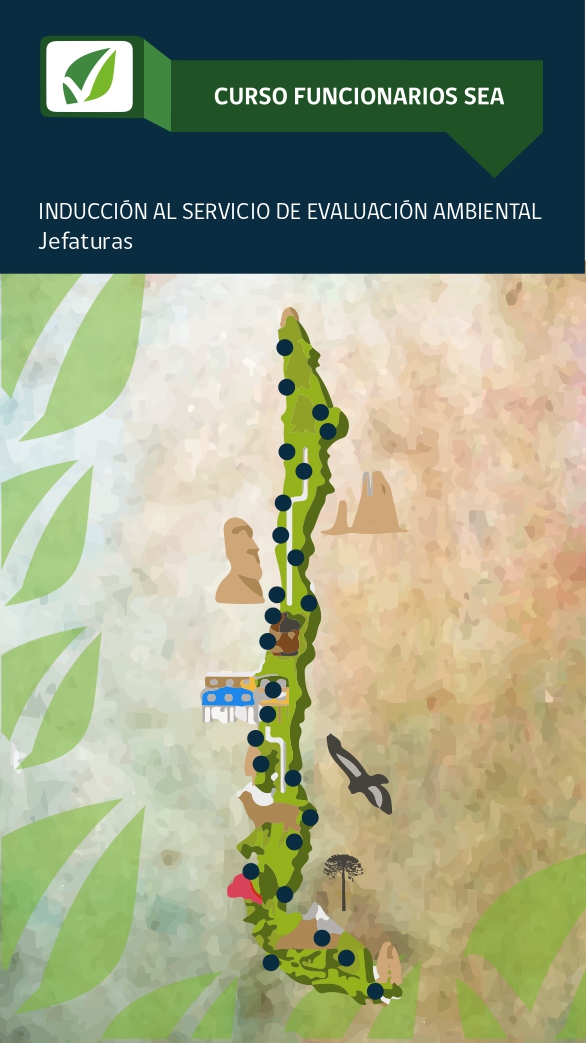 Curso de Inducción al Servicio de Evaluación Ambiental (SEA) Jefes