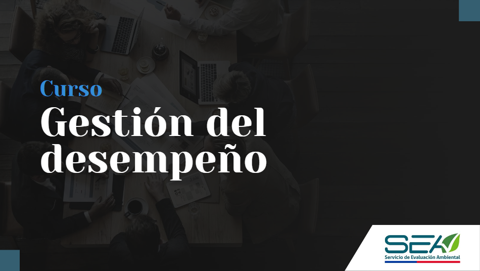 Gestión del Desempeño_2025