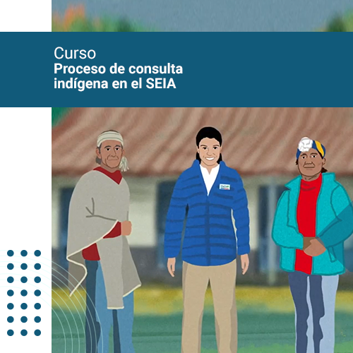 Proceso de consulta indígena