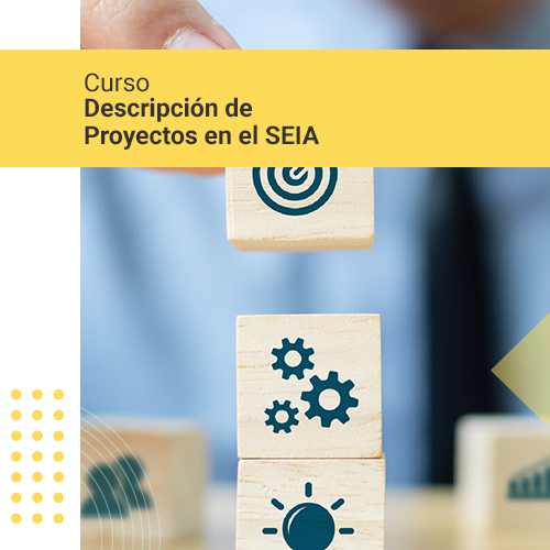 Descripción de Proyectos en el SEIA