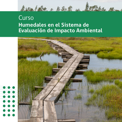 Humedales en el SEIA